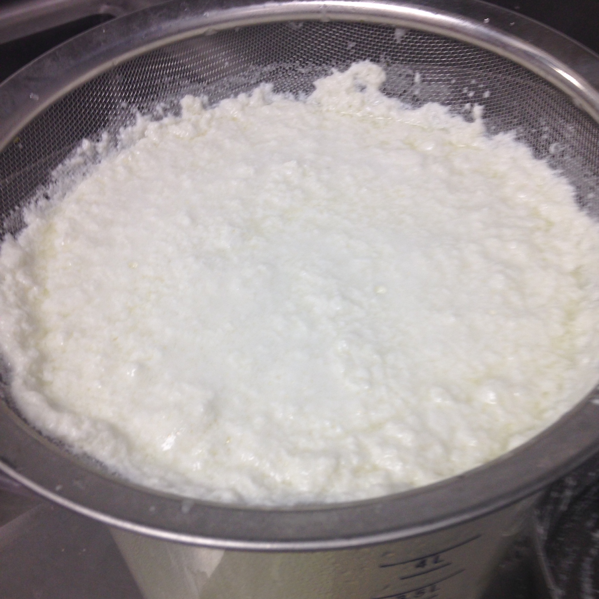 Fresh Ricotta