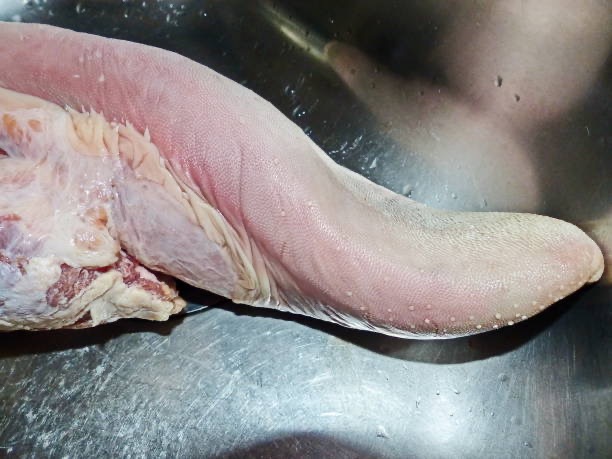 Whole Beef Tongue icon