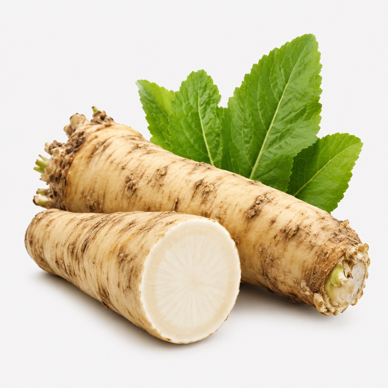 Fresh Horseradish ingredient icon