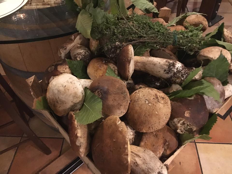 Tuscan mushroom ragout in a pan